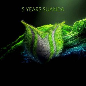 5 Years Suanda 5 Years Suanda