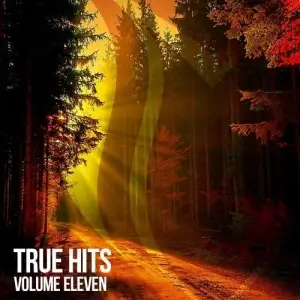 True Hits, Vol. 11