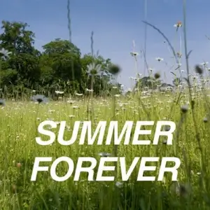 Summer Forever