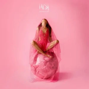 tAISh - Ориентир